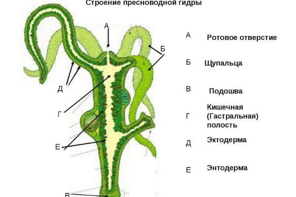 Кракен даркнет ссылка kraken link24 info