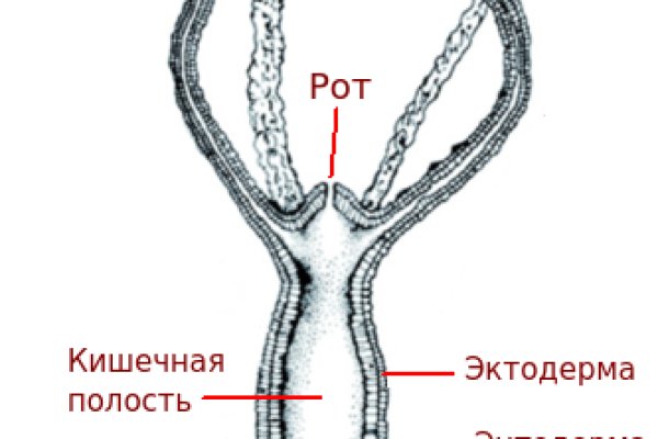 Kraken ссылка krakens13 at